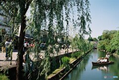 ベタ of 美観地区