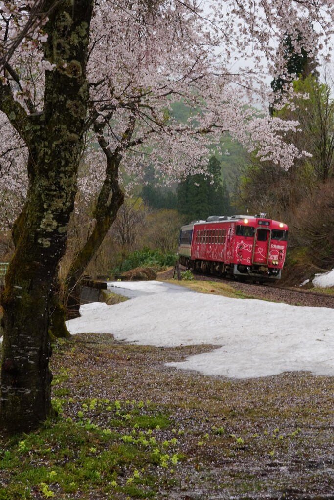 縁結び列車キハ40