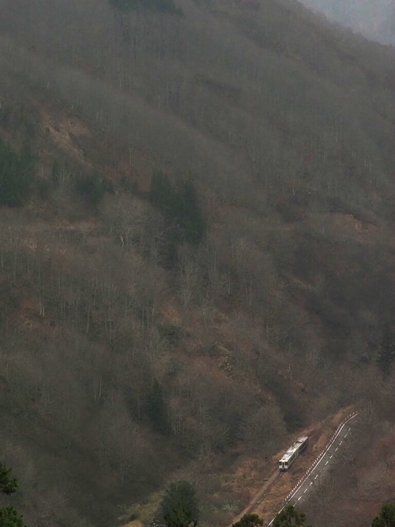 大白川林道から