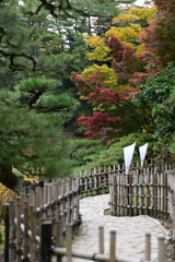 道（２）