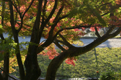 朝日を浴びて（１）