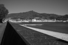 陽光