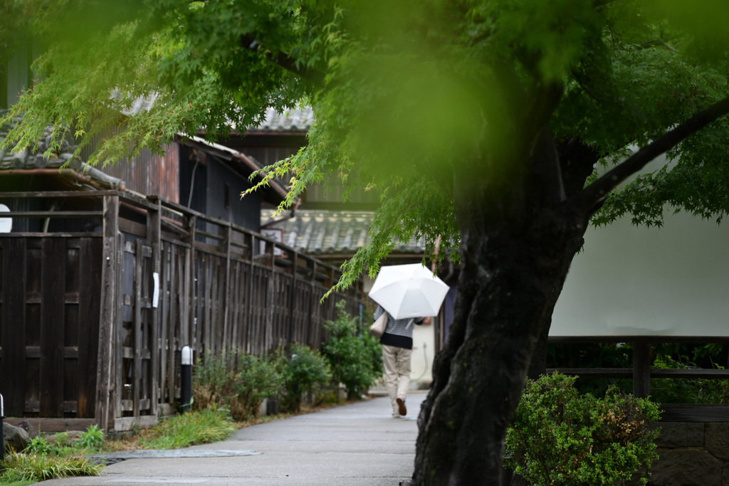雨降り