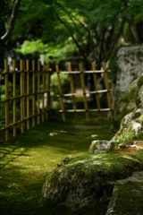 木陰にて