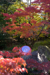 ライトアップ準備