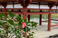 平等院