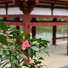 平等院