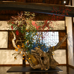 うだつをいける（１）