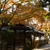 栗林公園 日暮亭