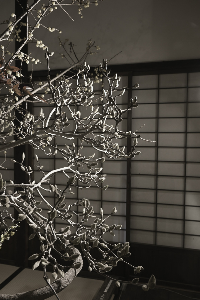 うだつをいける（６）