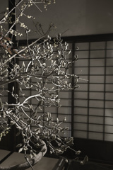 うだつをいける（６）