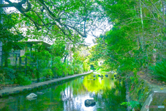 三島市の遊歩道