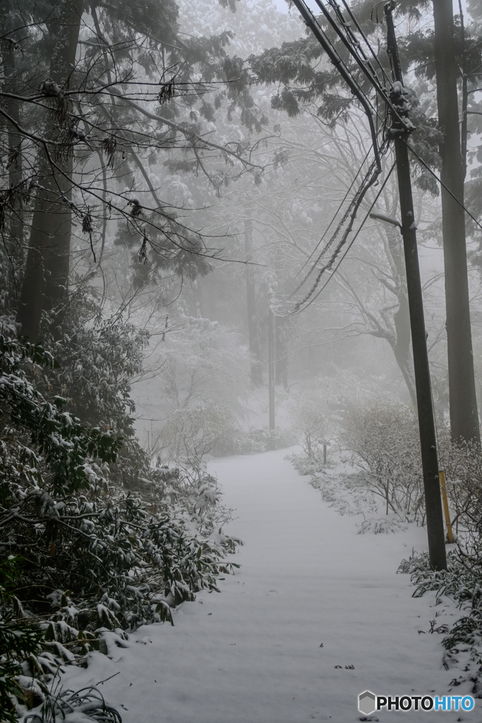 3月の鹿野山