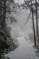 3月の鹿野山
