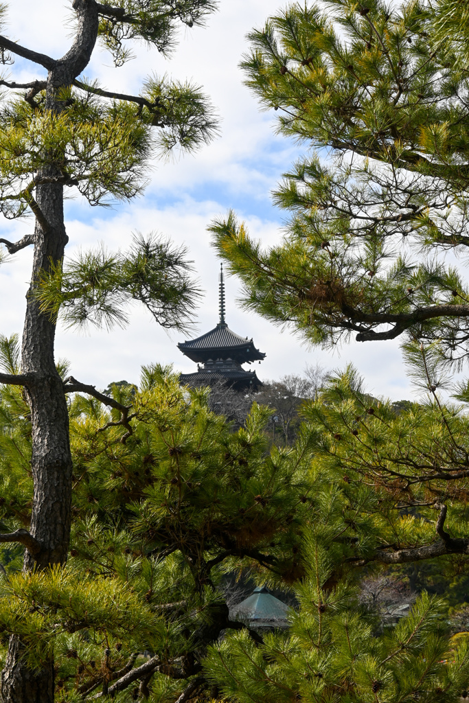 三溪園　三重塔②