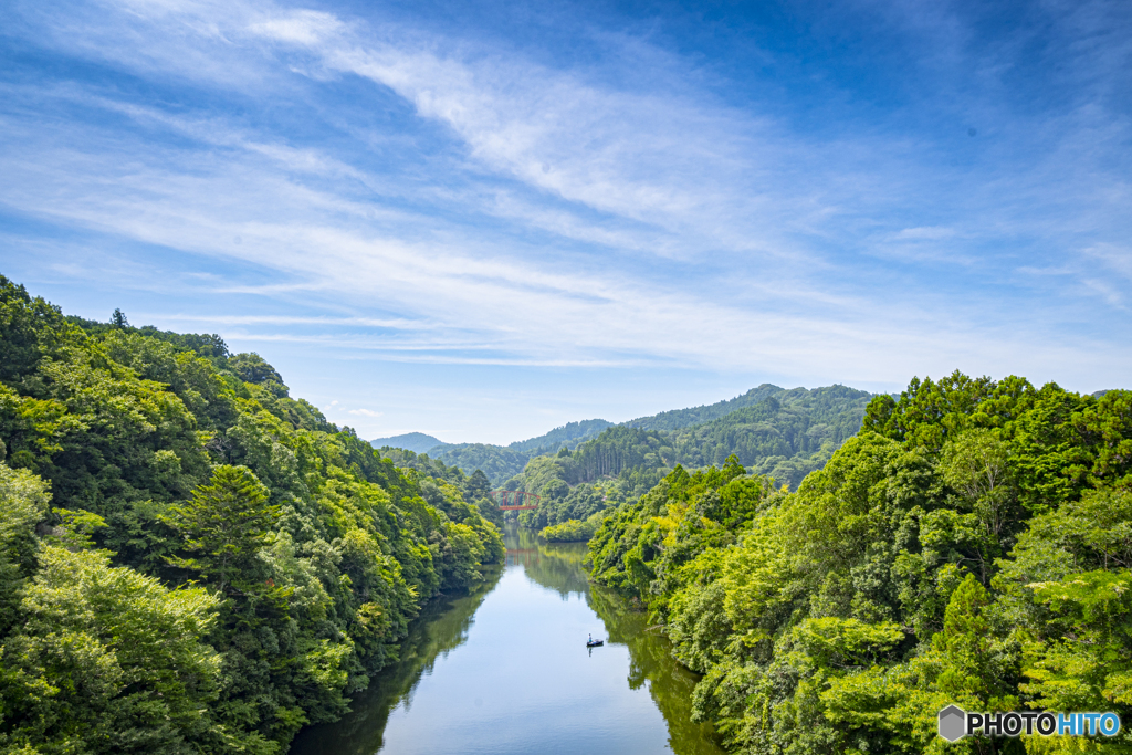 新緑と夏空