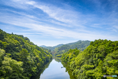 新緑と夏空