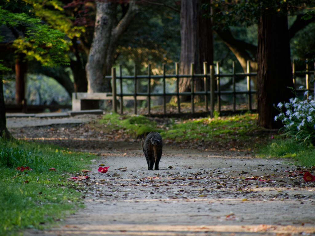 帰路