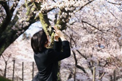 春