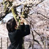 春