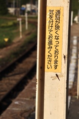 秋の羽音