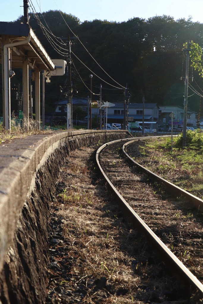 ホーム