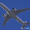 いつもの沼の上空にて