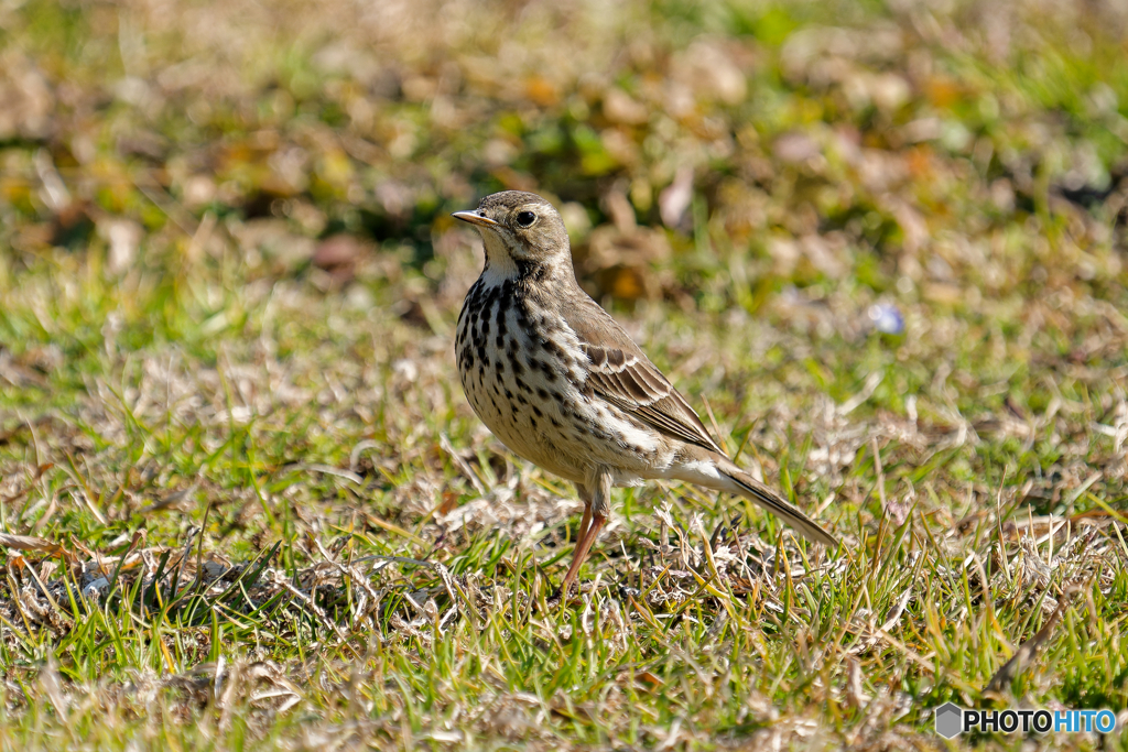 荒川沿いのグランドにて