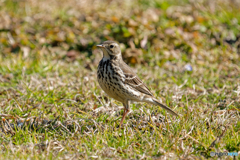 荒川沿いのグランドにて