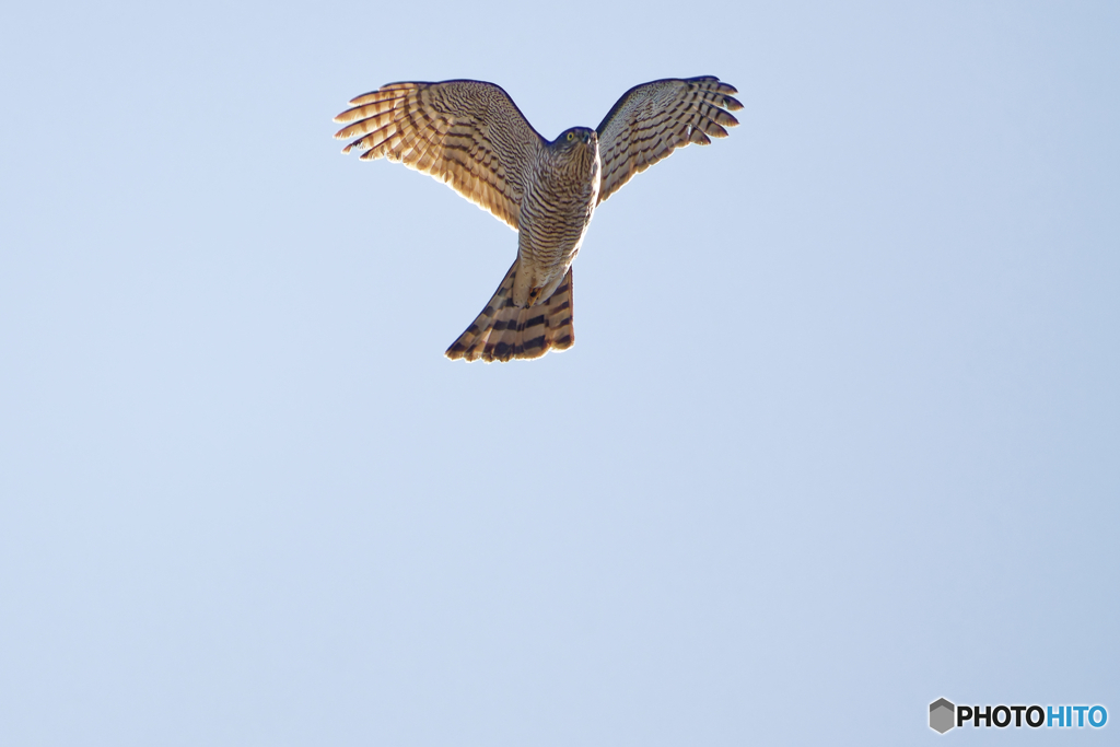 驚かせてしまいました