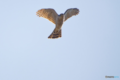 驚かせてしまいました