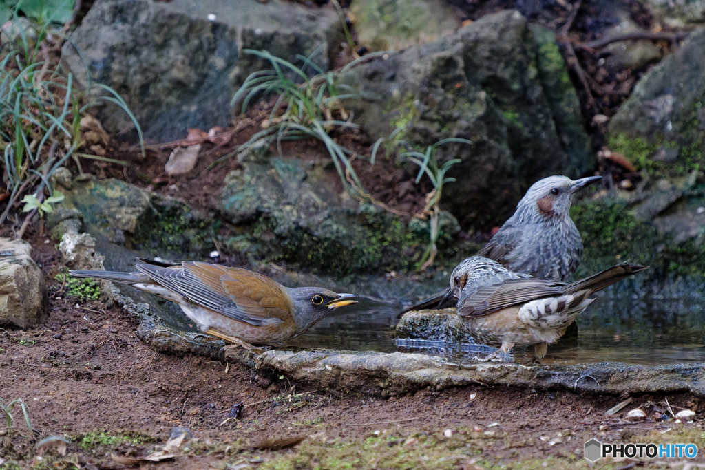 ここ空いてます？