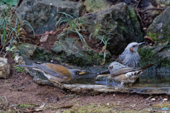 ここ空いてます？