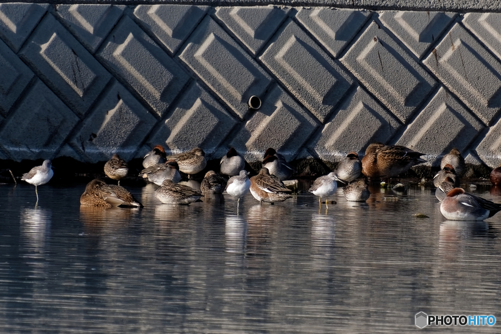 ウォーリーを探せ！