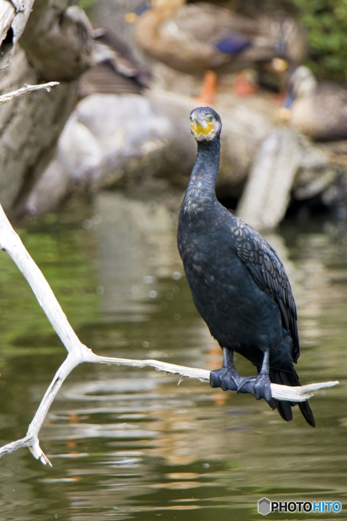 自然公園にて