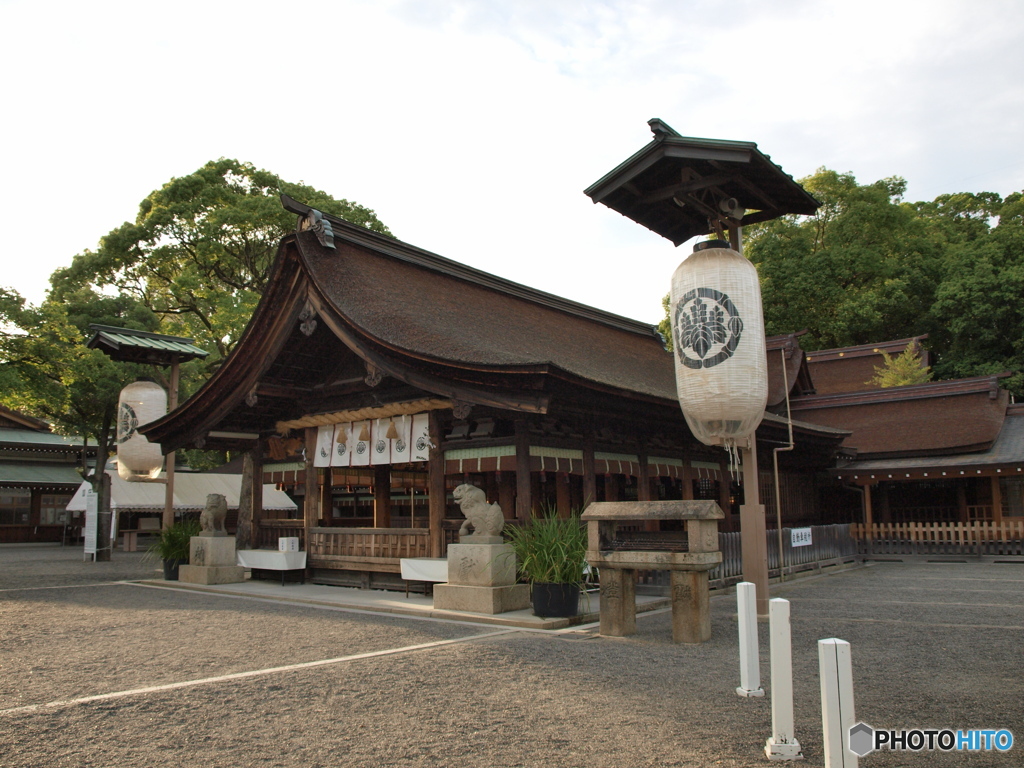 夏のひととき