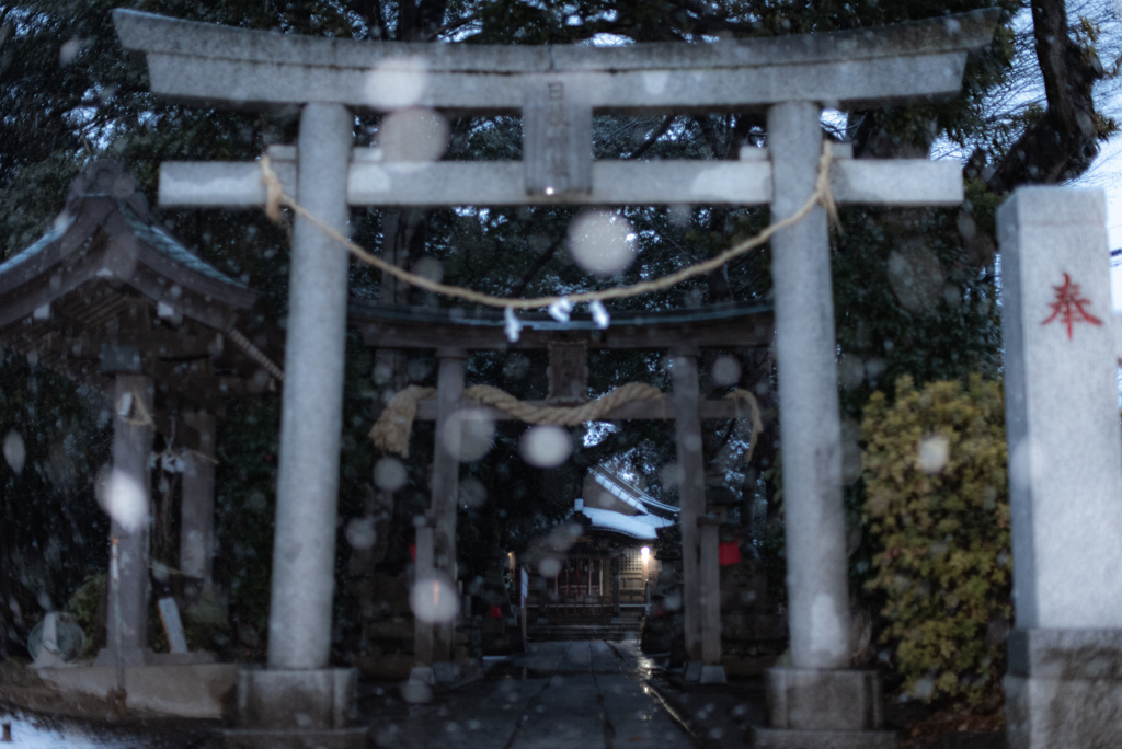 雪の玉ぼけ