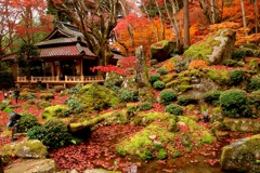 掛け軸の庭園