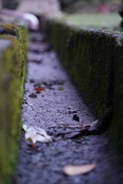 側溝