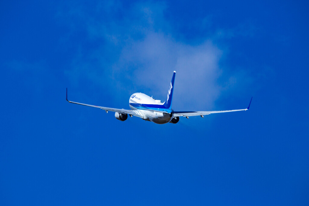 飛行機の雄姿