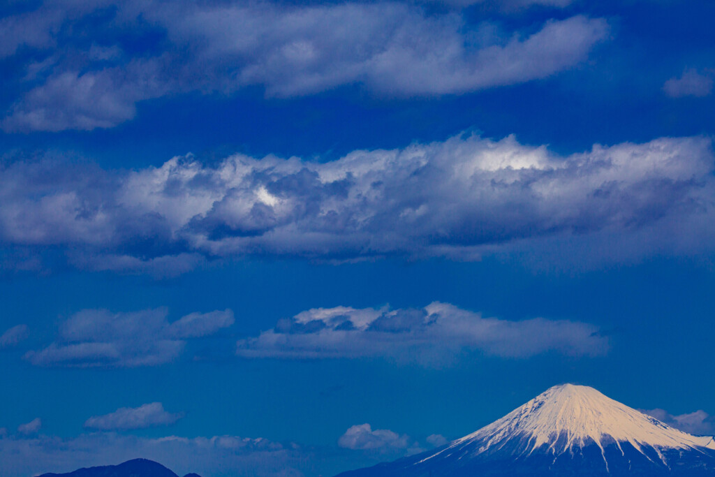 富士の白雪