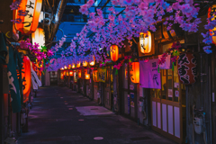青葉おでん横丁