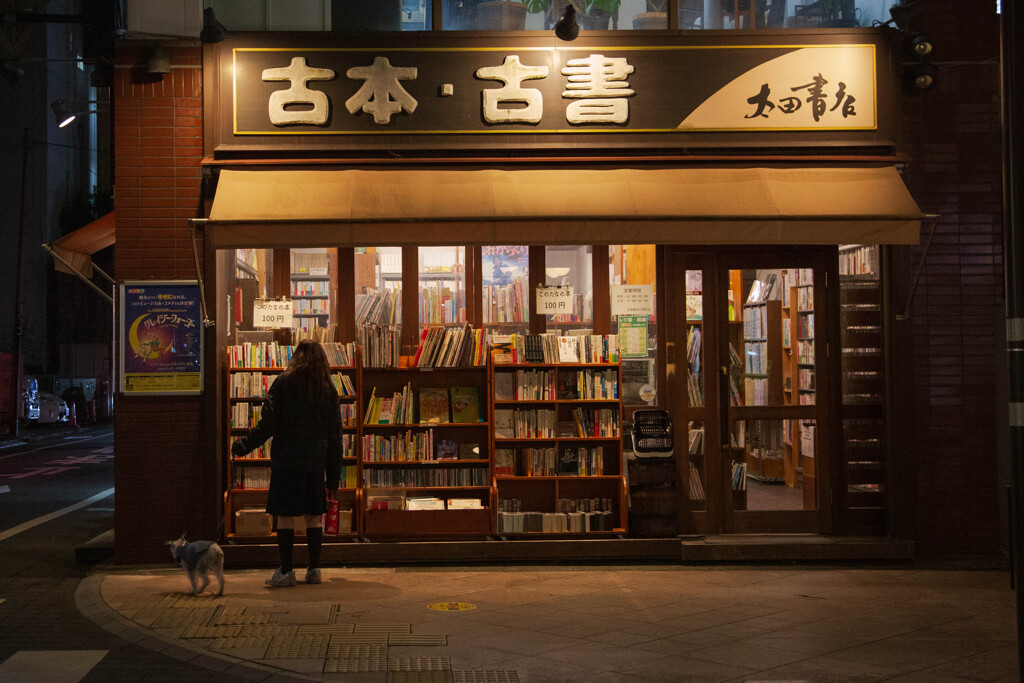 夜の古書店