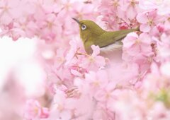 至福の時