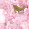 至福の時