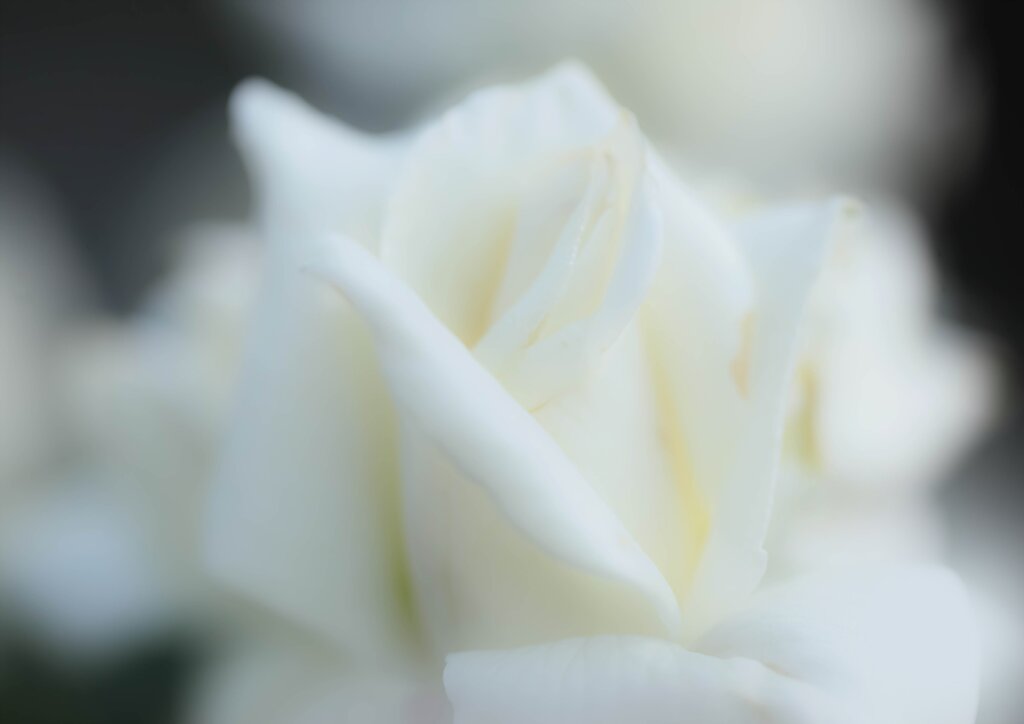 蕩ける時Ⅱ