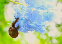 季節の中で
