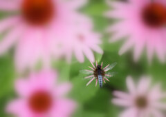 ひと休み