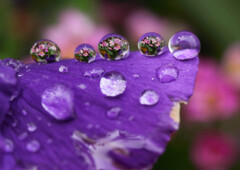 滴花