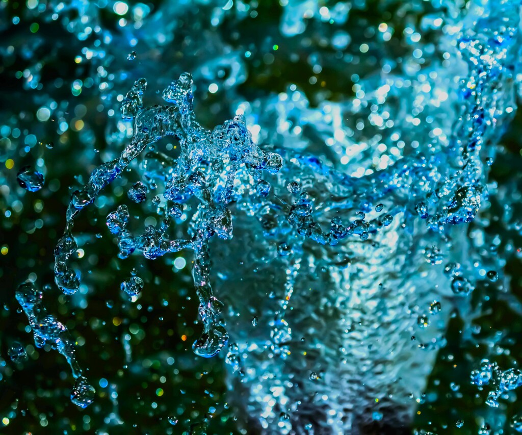 芸術の秋（Water編）